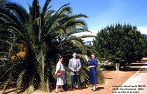 ORAN PARC MUNICIPAL